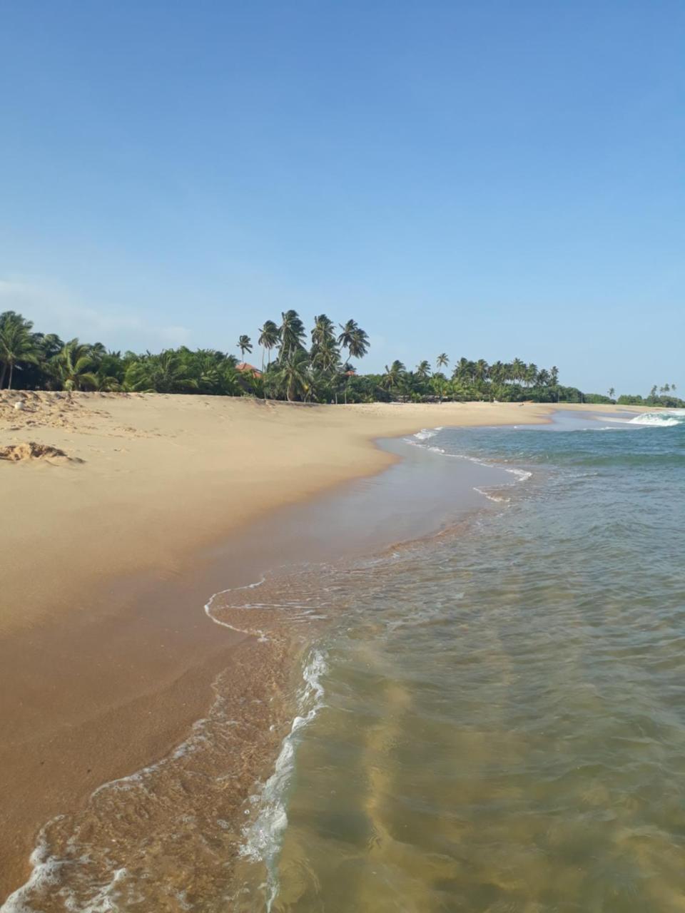 Eagles Nest Cabanas Tangalle Eksteriør bilde